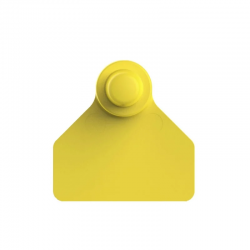 Paleta Hembra  mini + Boton Macho