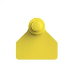 Paleta Hembra  mini + Boton Macho