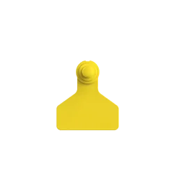 Paleta Hembra chico + Boton Macho