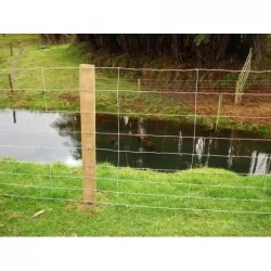 Malla galvanizada 90cm 8h 300x130 2,50mm x 100m oveja