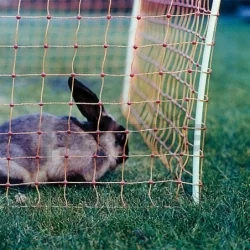 Malla electrificada para conejo