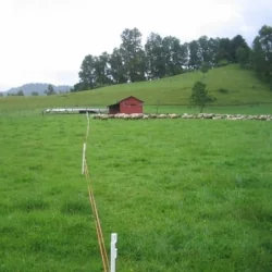 Cerco eléctrico ganadero movil para ovinos