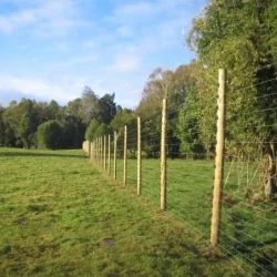 Cerco eléctrico contra pumas