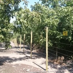 Cerco Eléctrico de Seguridad Agrícola