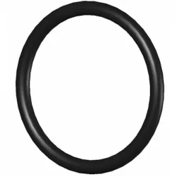 Anillo de Goma D Perrot
