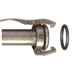 Hembra Perrot Espiga