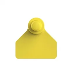 Paleta Hembra chico + Boton Macho