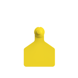 Paleta Hembra mediano + Boton Macho