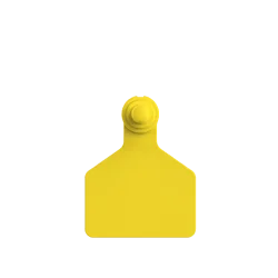 Paleta Hembra mediano + Boton Macho