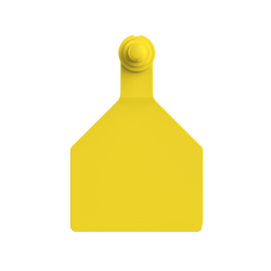 Paleta Hembra maxi + Boton Macho