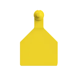 Paleta Hembra maxi + Boton Macho