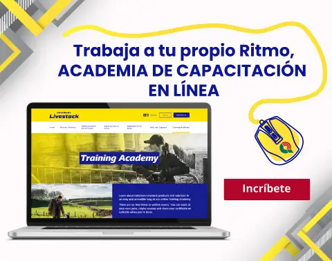 Training Academy